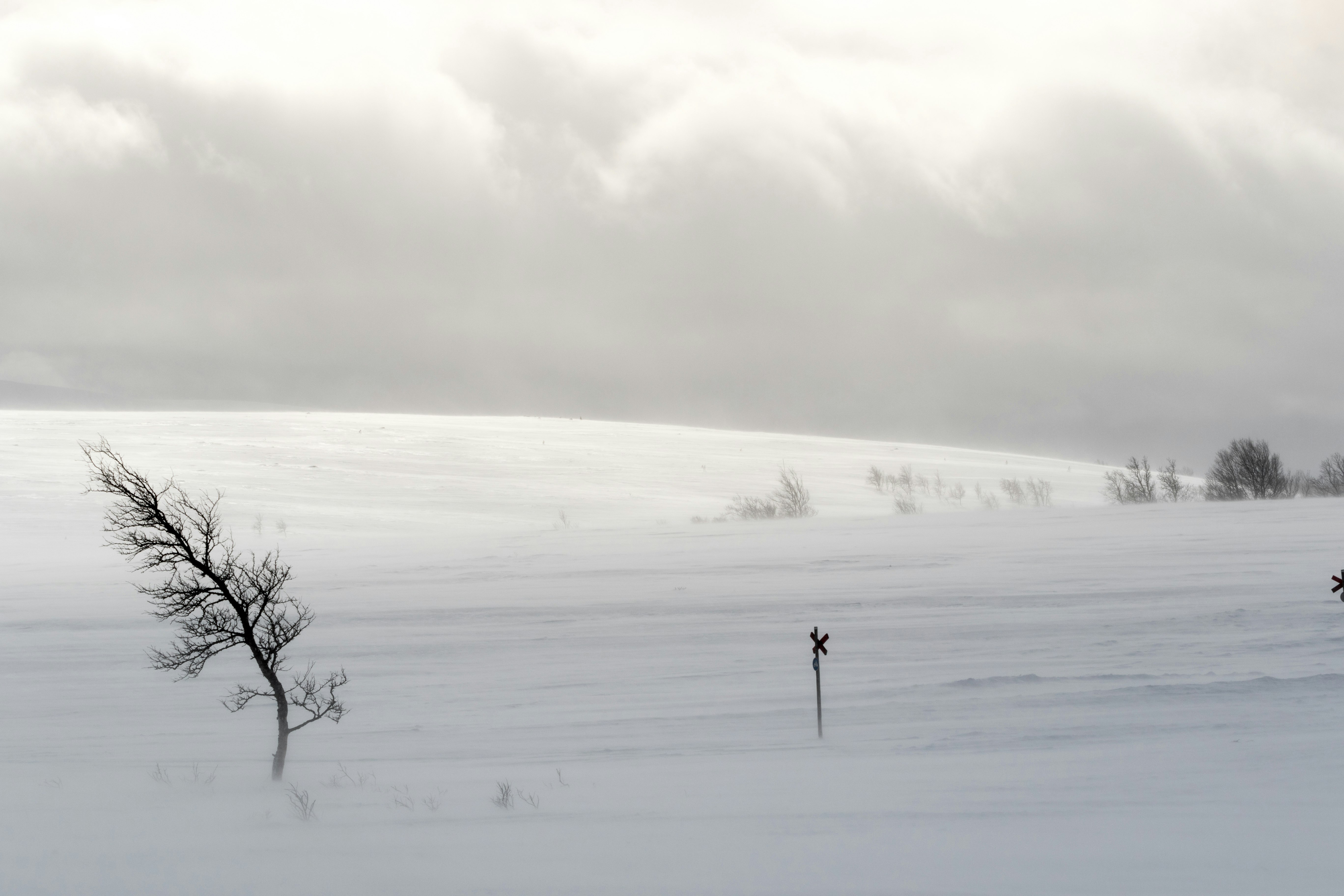 wind on snow field